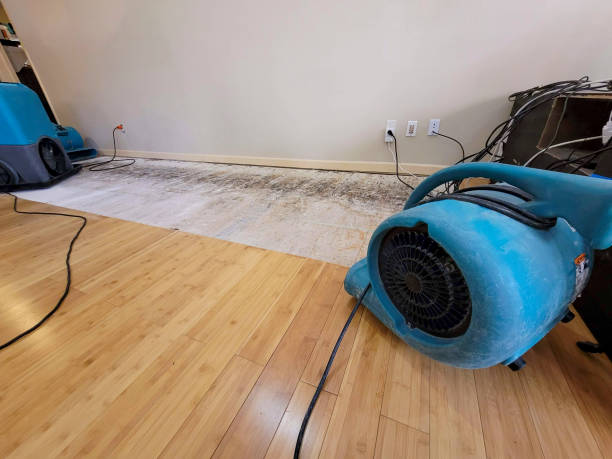 Professional Ceiling Water Damage Repair technician working in Round Hill, VA
